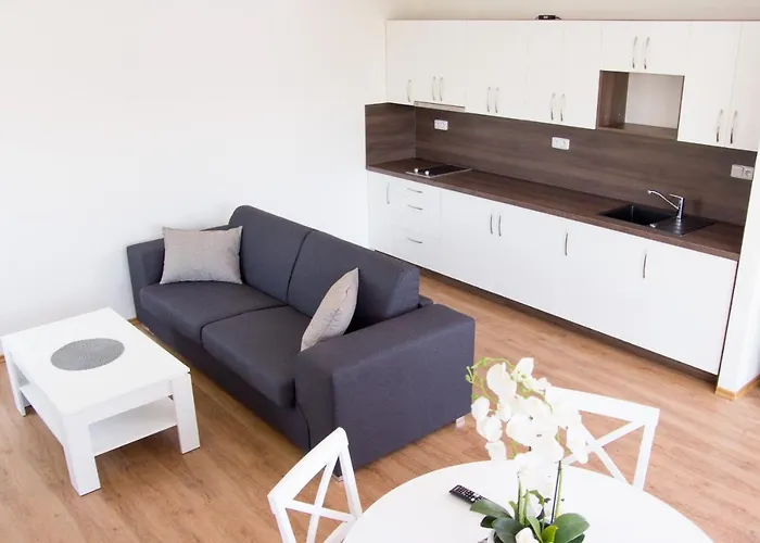 Adh 公寓 Dolní Morava